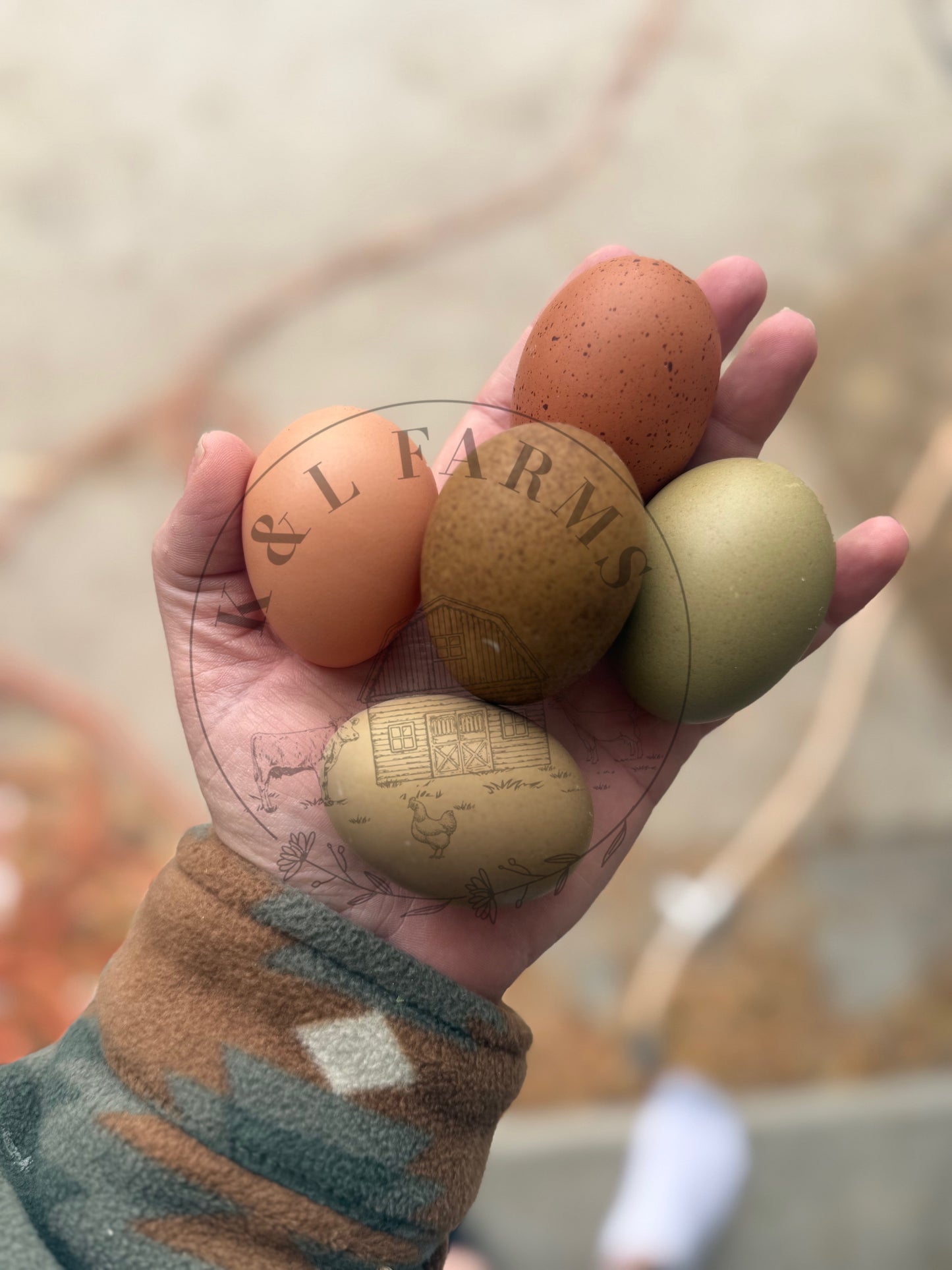 Dark and Bloomy Hatching Eggs