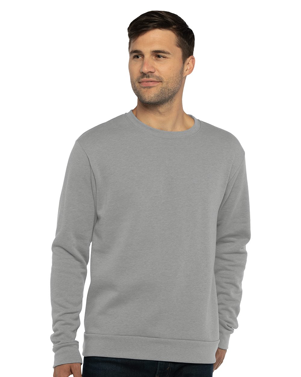 Next Level Unisex Malibu Crewneck Sweatshirt 9002
