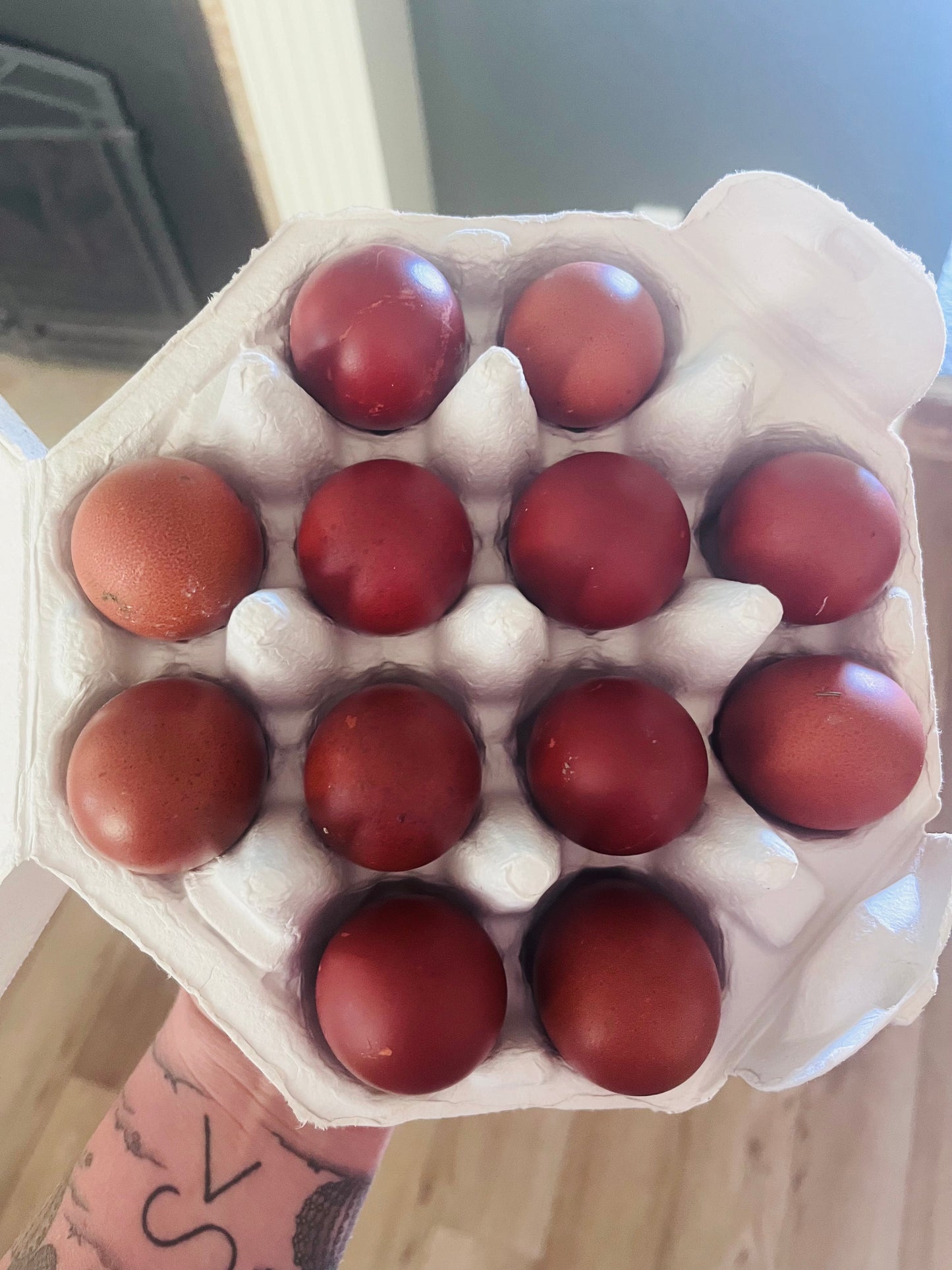 Black Copper Marans