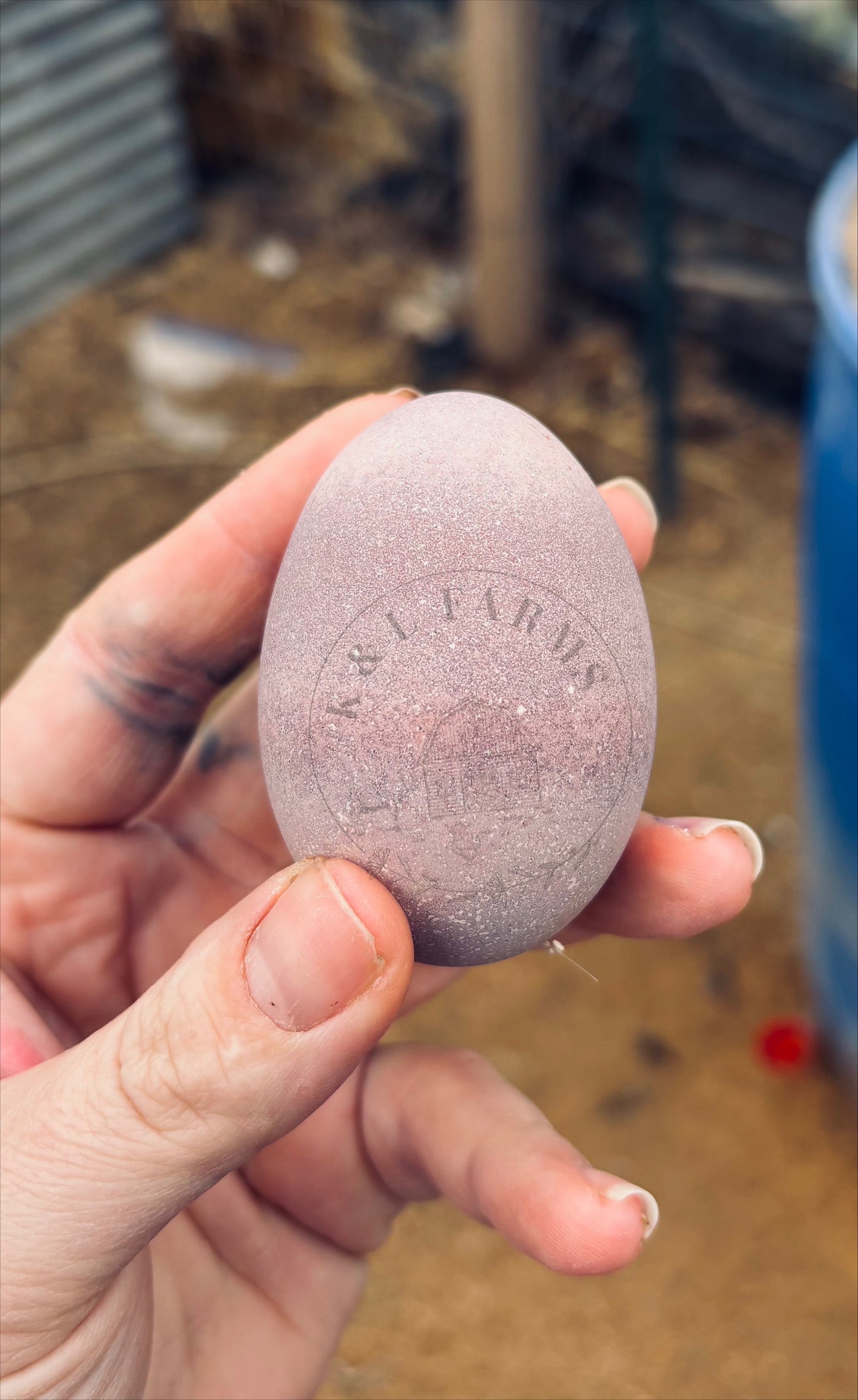 Dark and Bloomy Hatching Eggs