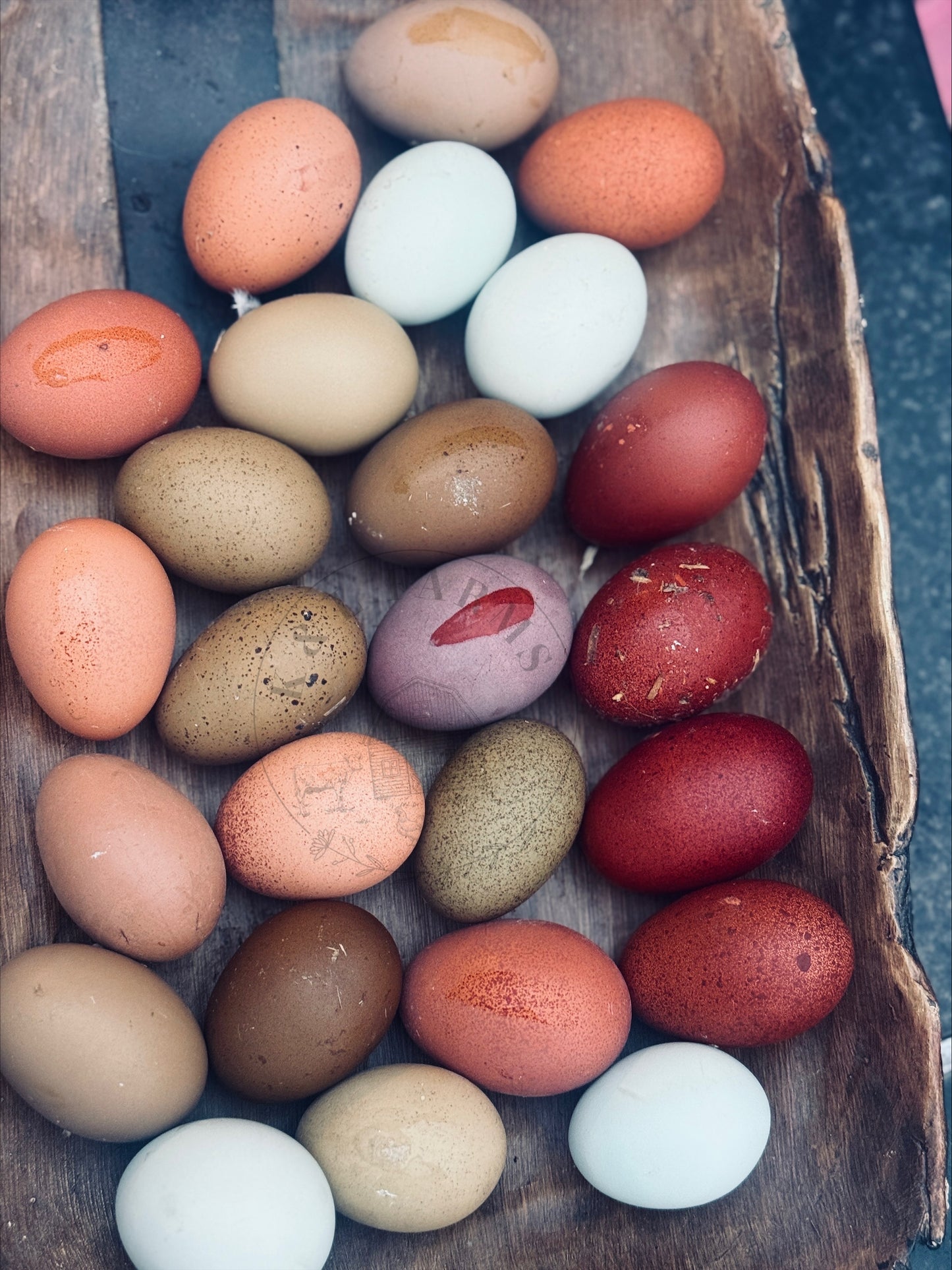Dark and Bloomy Hatching Eggs
