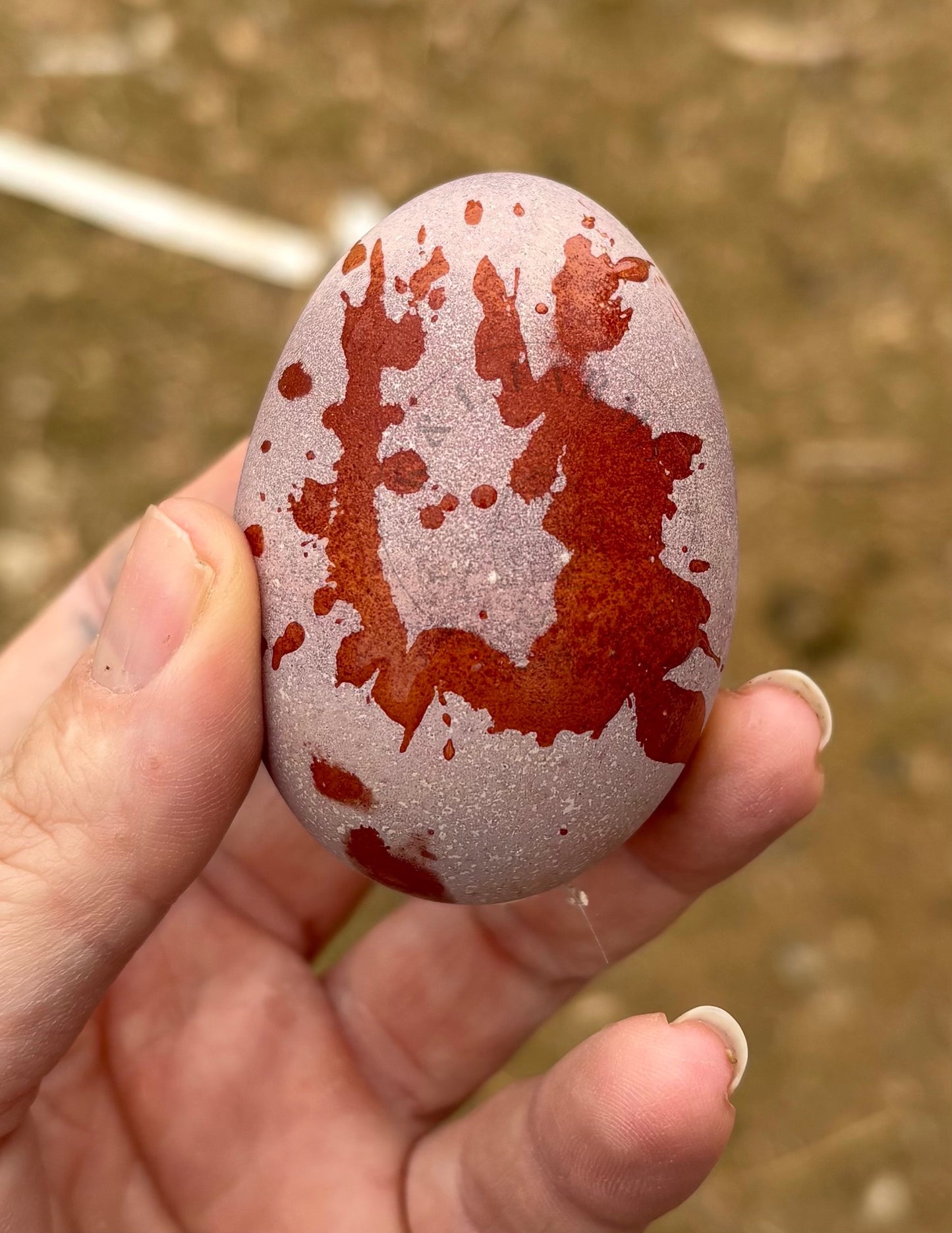 Dark and Bloomy Hatching Eggs